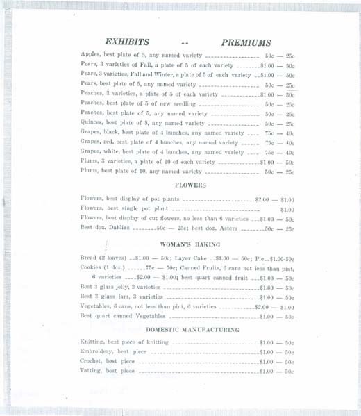 1923 Boston Township Fair
